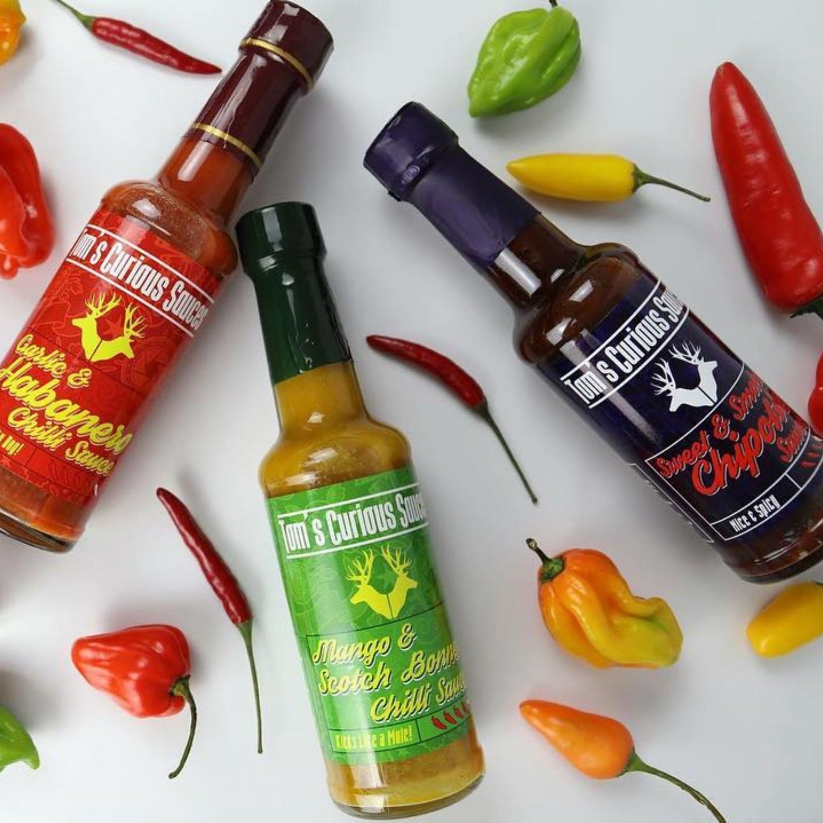 toms curious sauces